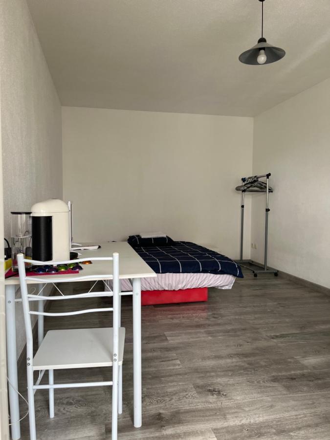 Parc Poteries Apartment Strasbourg Exterior foto