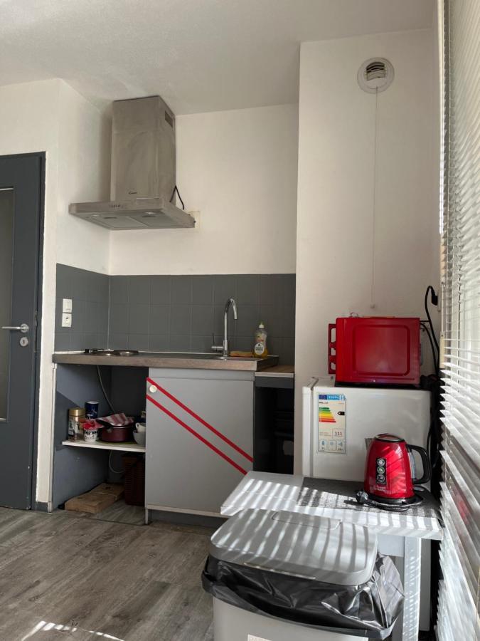 Parc Poteries Apartment Strasbourg Exterior foto